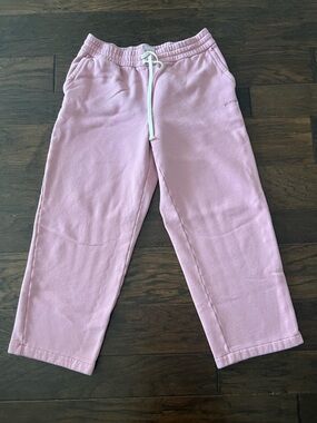 Aritzia Cozy Sweatfleece Mega Fit Straight leg Sweatpants Size Large
